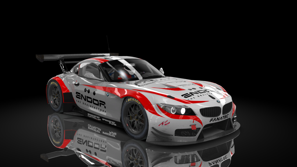 BMW Z4 GT3, skin fanatec