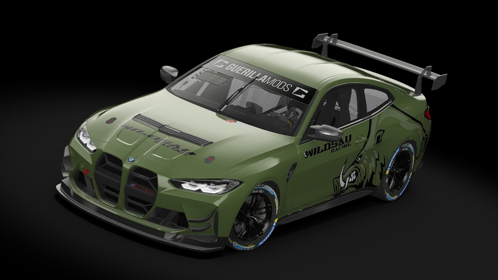 Car Skin