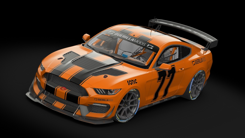 Car Skin