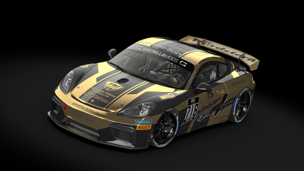 Car Skin