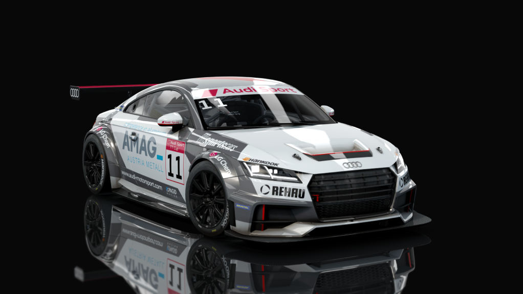 Audi TT Cup, skin 06_racing_11