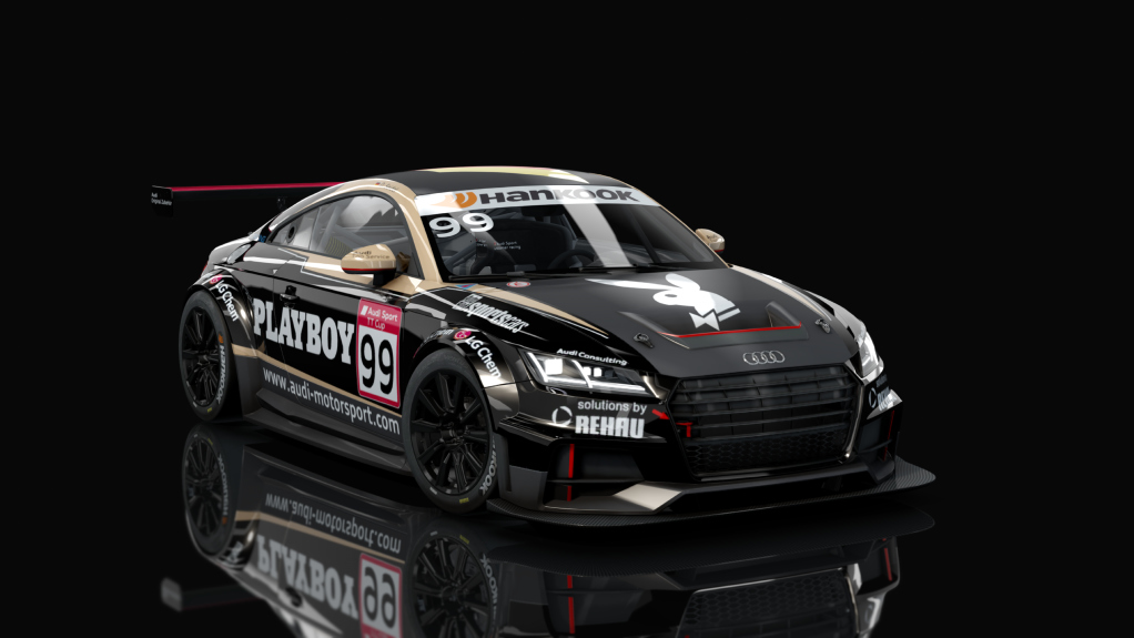 Audi TT Cup, skin 2015_99