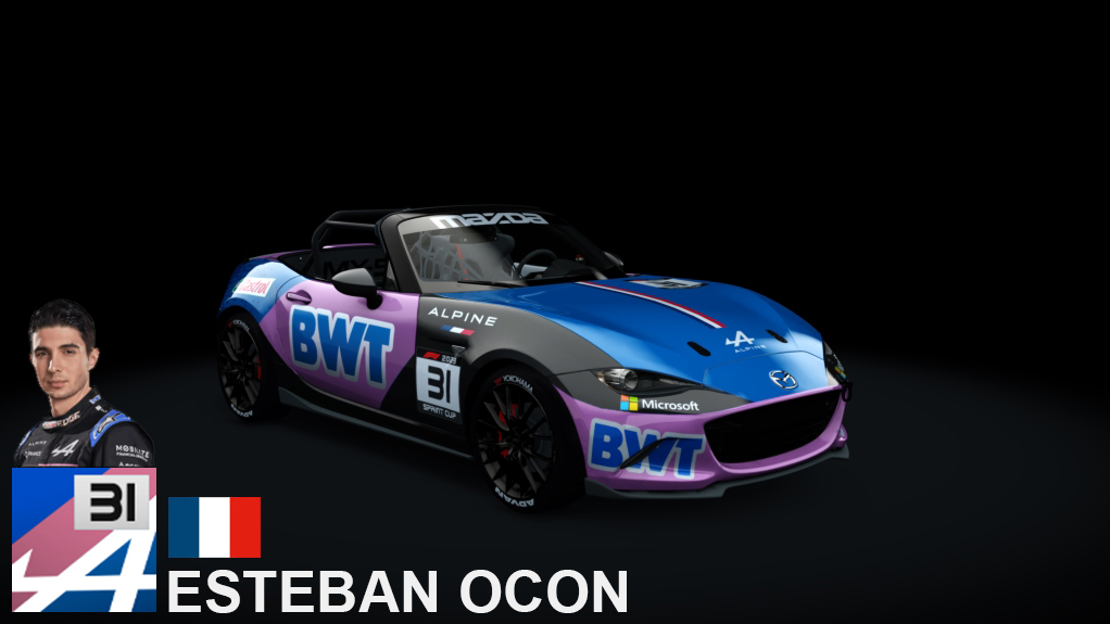 Car Skin