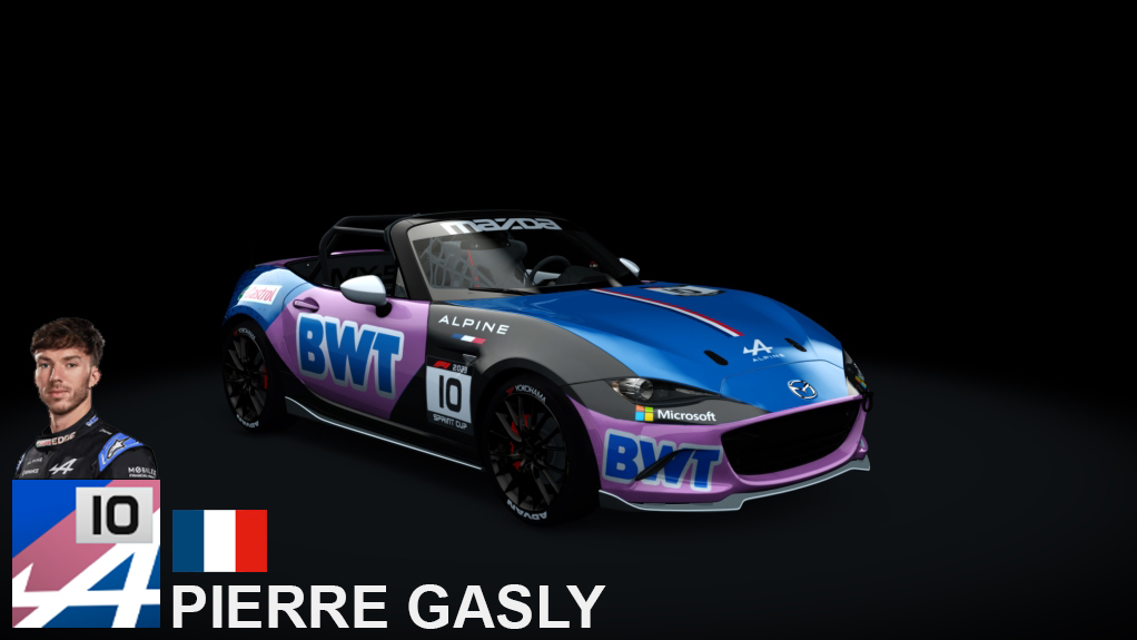 Car Skin
