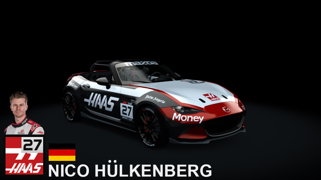Car Skin